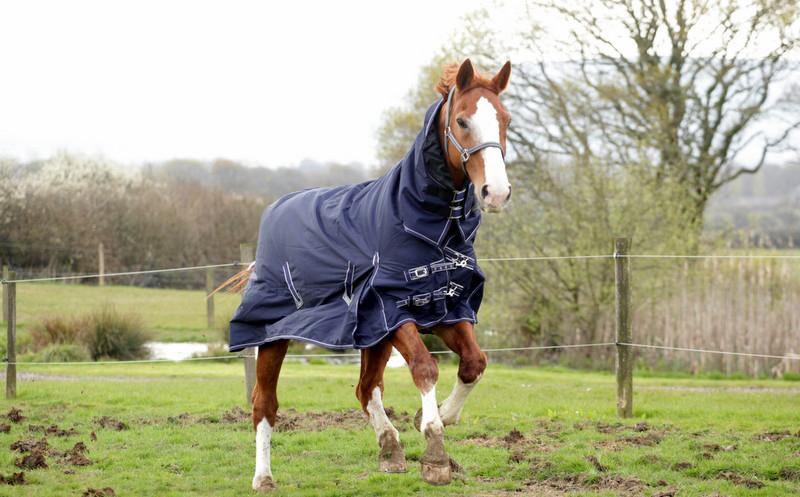 Rhinegold Arizona Impermeable Combo 100g - SHOPHORSE